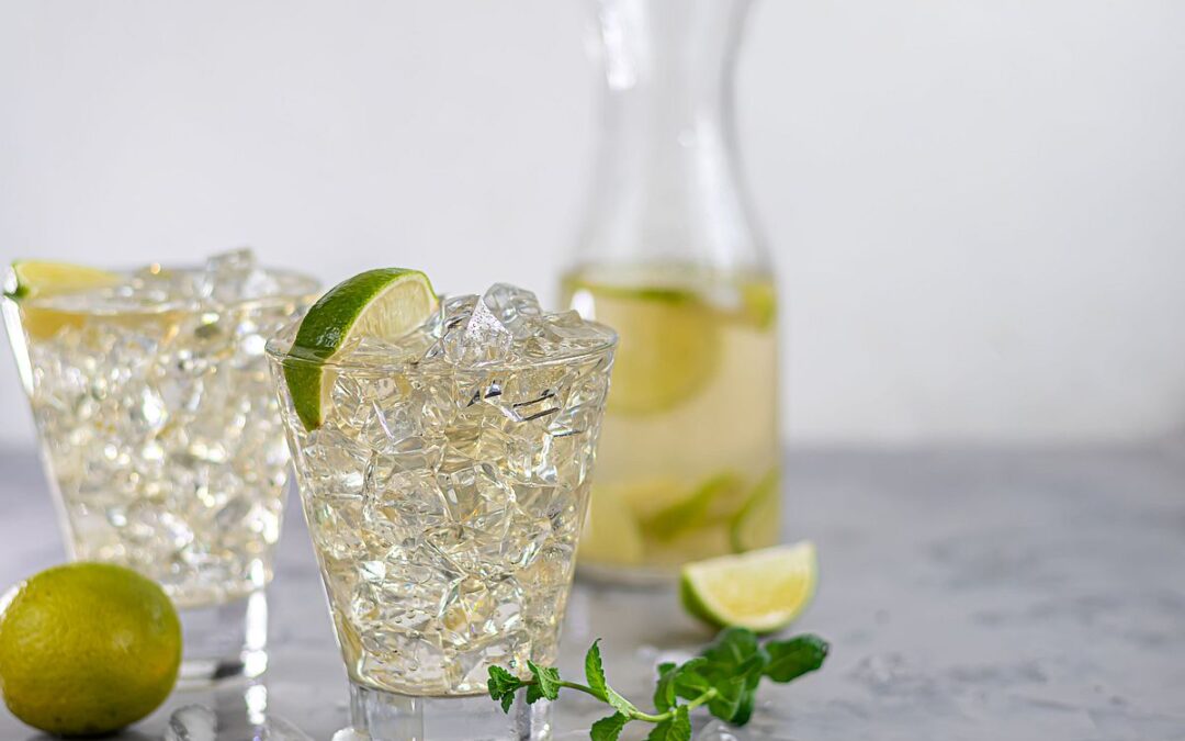 Kefir-Wasser-Alternative – Mit Zitrone und Minze